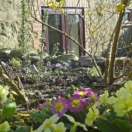 Red Kite Cottage Rhyd Owen Exterior photo